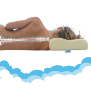 SnoozeWise-Memory-Foam-Contour-Pillow-Relieve-Your-Pillow-Neck-Pain-Extra-Allergy-Free-Pillow-Case-S