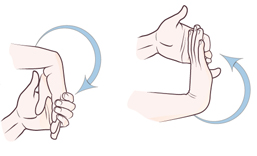 wrist-stretch